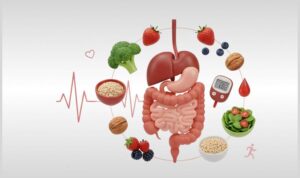 Constipation and blood sugar connection through gut health and diabetes