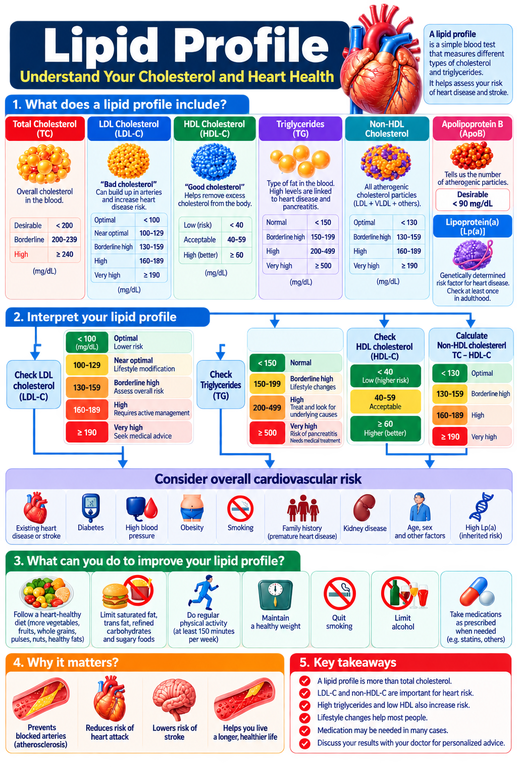 Lipid Profile: Complete Guide to Cholesterol, LDL, HDL, Triglycerides and Cardiovascular Risk 2 Lipid Profile Heart Health Infographic
